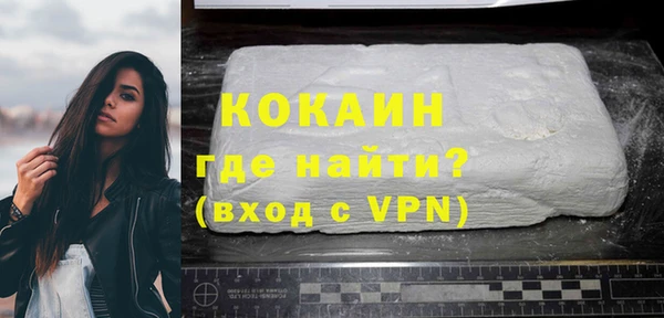 амф Горняк