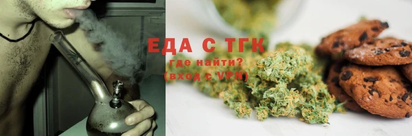стаф Ельня