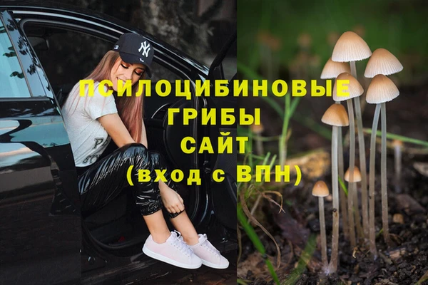 стаф Алексеевка