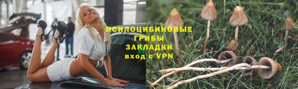 стаф Алексеевка