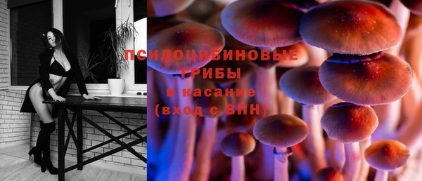 стаф Алексеевка