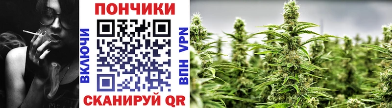 Бошки марихуана семена  купить закладку  Олонец 